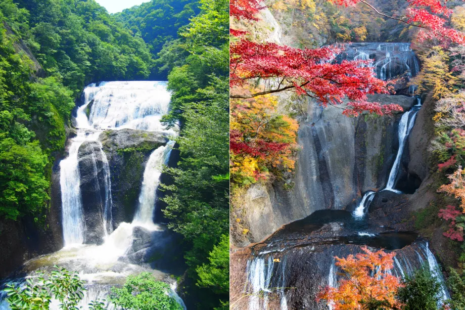 fukuroda-falls-ibaraki-four-seasons-oasis-oarai - 茨城・大洗ひたちなかエリアのグランピング施設 Water front Villa OASIS大洗 Fukuroda Falls in Ibaraki, one of Japan's top 3 waterfalls, showcasing lush summer greenery and vibrant autumn leaves. Perfect for sightseeing after staying at OASIS-OARAI.